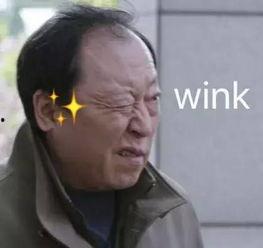 穿成反派，我要干翻镇北王,穿成反派，我誓要干翻镇北王