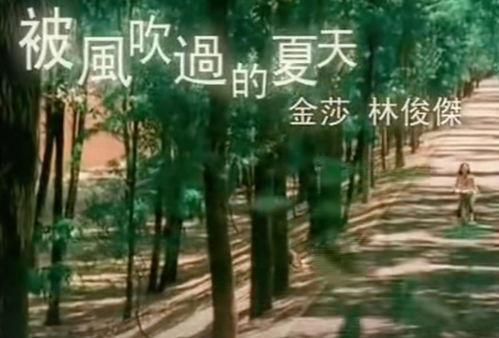 被风吹过的夏天,回忆如歌